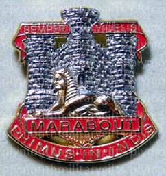 Devon & Dorset Regiment Lapel Pin
